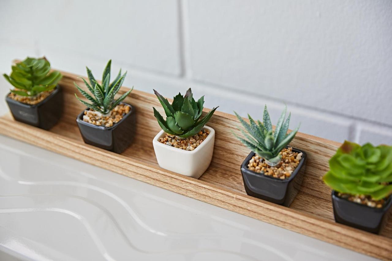 Cactus Sombrerudo- Bright Apartment Next To Yumbo ماسبالوماس المظهر الخارجي الصورة